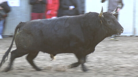 2025 01 22 BENICASIM ALBERTO GARRIDO