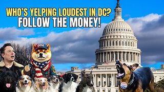 Democrats Panic as DOGE Exposes Their Secret Cash Grabs