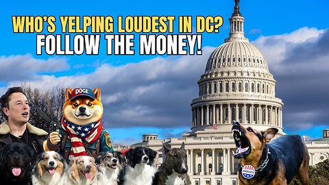 Democrats Panic as DOGE Exposes Their Secret Cash Grabs