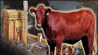 Rapture & The Temple - Part 1