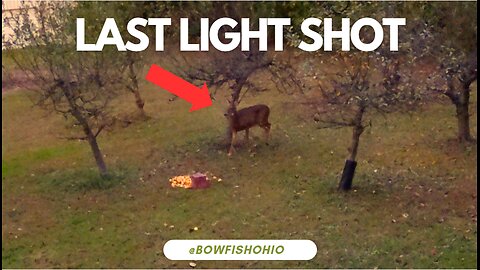 Apple Orchard Ambush | Evening Ohio Crossbow Doe Hunt (Last Light Success)