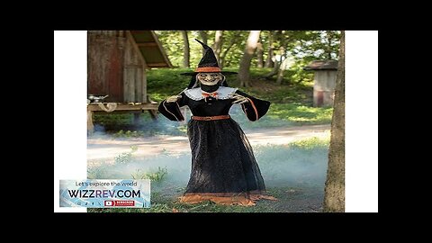 Whimsical Animated Witch Halloween Decoration Review