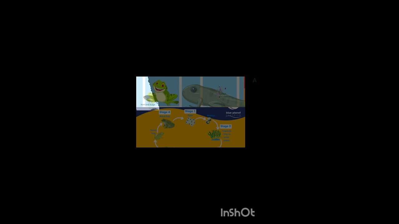 science quiz for children