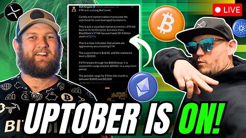 Exact Bitcoin Bottom Signal! Massive Crypto Altcoin Surge