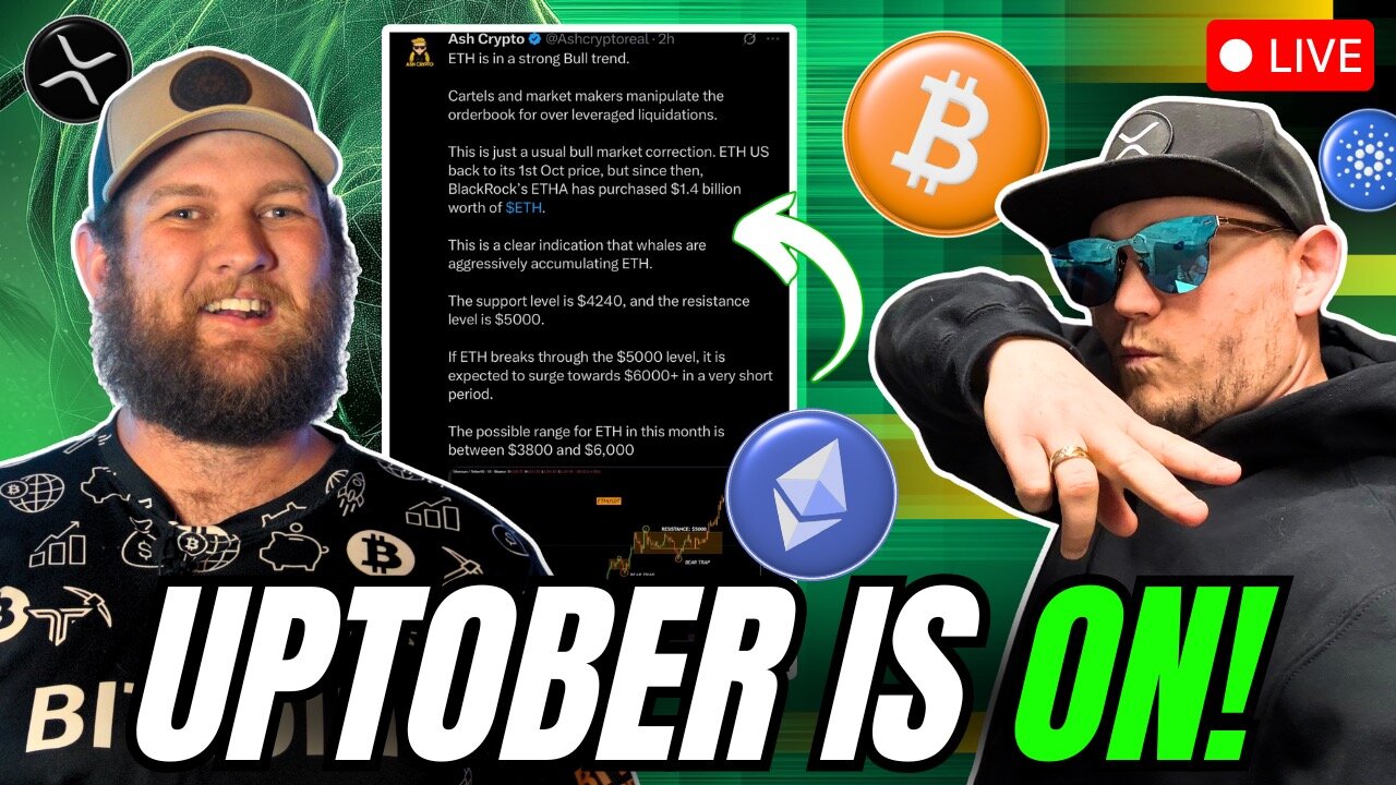 Exact Bitcoin Bottom Signal! Massive Crypto Altcoin Surge