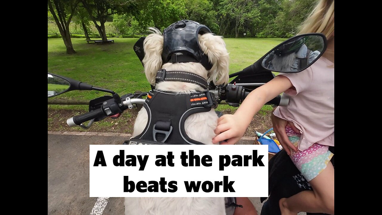 A day in the park beats work