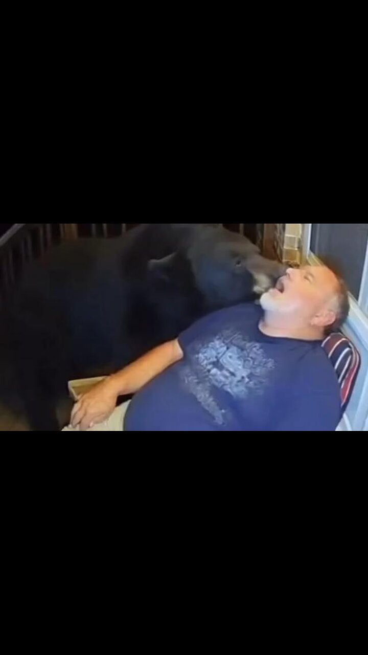 Imagine waking up to a bear licking your face... LOL
