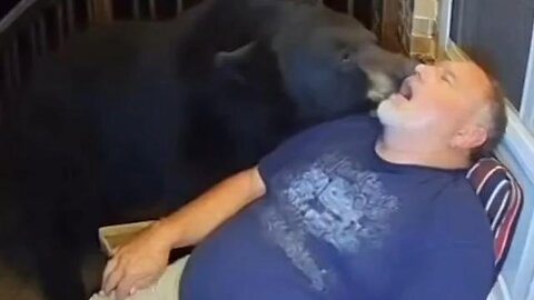 Imagine waking up to a bear licking your face... LOL