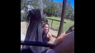 El primer caballo del mundo que 'puede oler drogas'