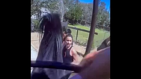 El primer caballo del mundo que 'puede oler drogas' 