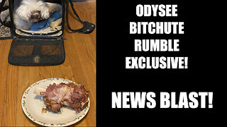 Rumble/Odysee/Bitchute Exclusive Hot Take News Blast! Nov. 16th 2025