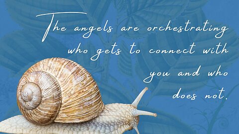 The angels are orchestrating who gets to connect with you