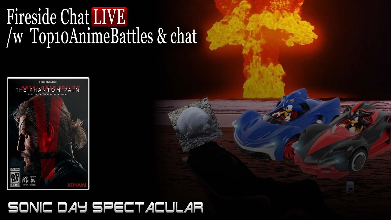 SONIC DAY SPECTACULAR: MGSV