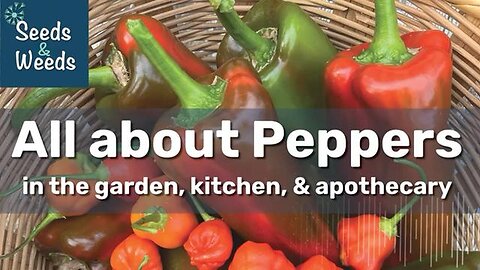 All about PEPPERS in the garden, kitchen, and apothecary!