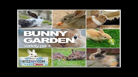 All-in-One Bunny Garden Variety Seed Pack Seeds Review