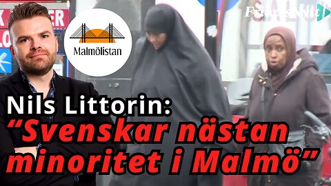 SD har gått på regeringens bluff - Nils Littorin Malmölistan