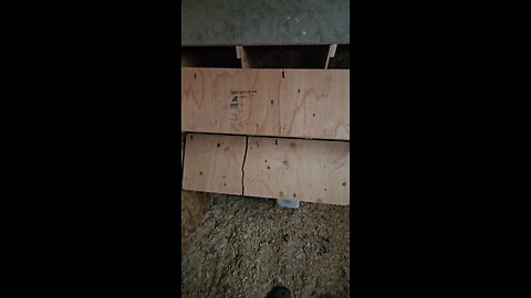 "bird excluders" on my nesting boxes