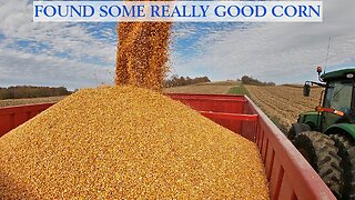 Found Some Really Good Corn