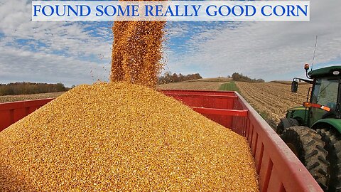 Found Some Really Good Corn