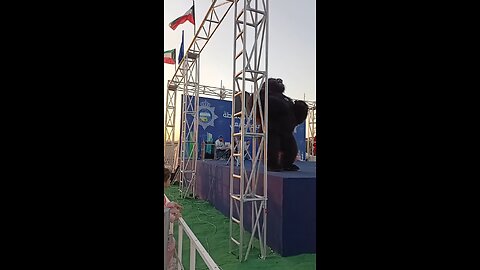 kids performance