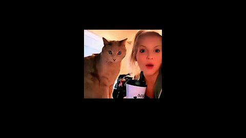 Funny Viral Cat Videos 😂