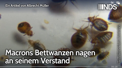 Macrons Bettwanzen nagen an seinem Verstand | Albrecht Müller | NDS-Podcast