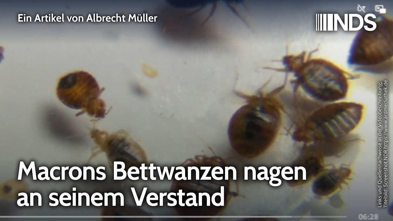 Macrons Bettwanzen nagen an seinem Verstand | Albrecht Müller | NDS-Podcast