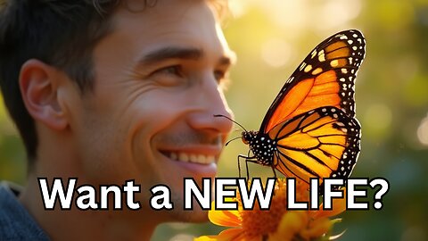 A Butterflies Miracle (new birth)