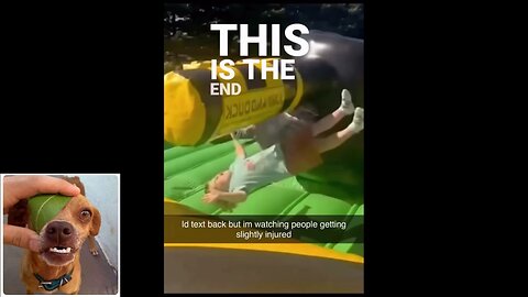 Funny videos compilation 55