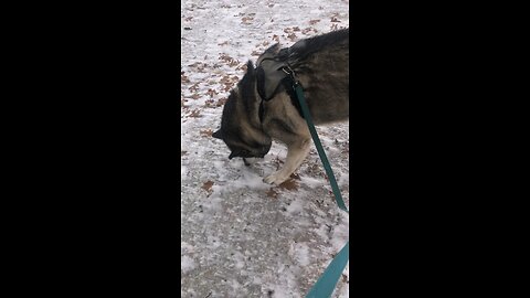 Thursday November 27 Thanksgiving Day; Don’t worry about anything.