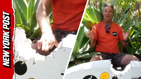 The terrifying moment an Australian windsurfer gets pulled underwater by a shark