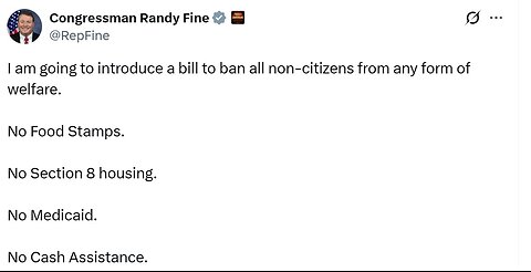 Rep Randy Fine to intro bill to ban illegals from all welfare, gets ratioed with Israel comments