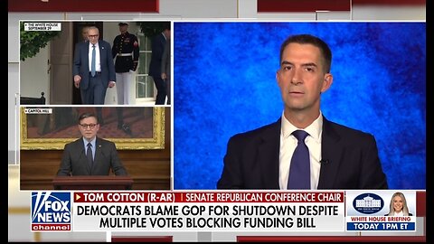 Sen Tom Cotton: Chuck Schumer Is Scared!