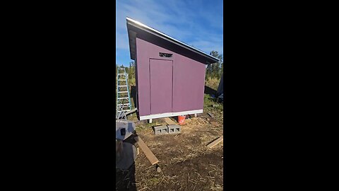 chicken 🐔 coop updaye #7