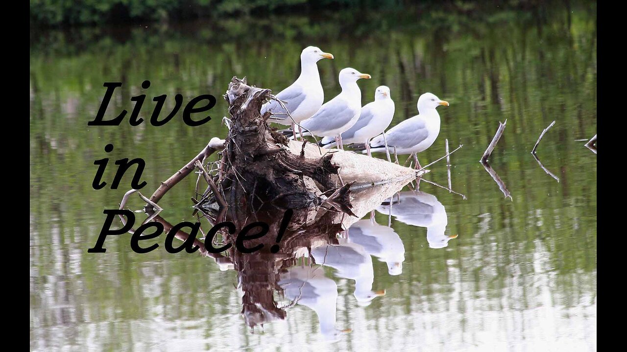 In Christ We Have Peace