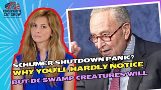 Schumer Shutdown Panic? Why You’ll Hardly Notice—But DC Swamp Creatures Will