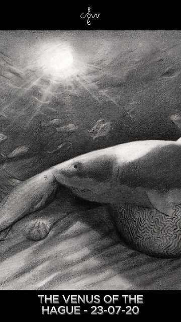 The Venus of The Hague – 23-07-20