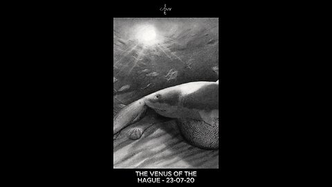 The Venus of The Hague – 23-07-20