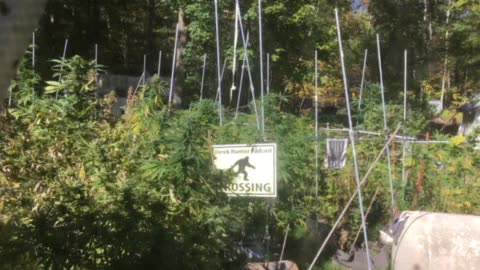 WMAL streaming worldwide 105.9 Vince show Seattle police won’t arrest rioters
