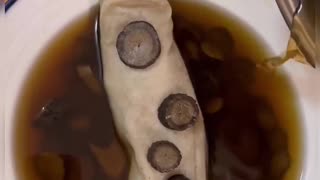 Birds, birds, and bird baths