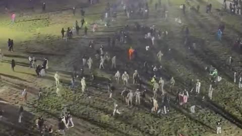 D.C. police reportedly made multiple arrests after a chaotic scene unfolded on Halloween night