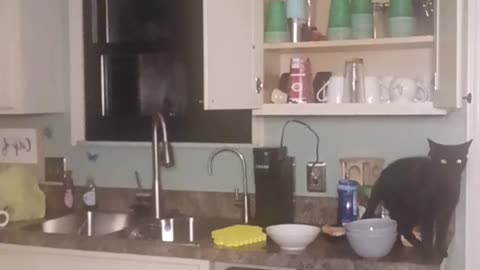 11/02/25 Gen B VOD: "Gen B is live!"