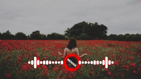 Relaxing Romantic lofi Music