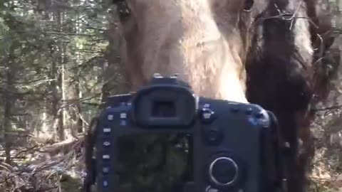 Woe Day 125. I am in the ark. Waiting for GOD to open the Door for a spring/summer Pentecost rapture