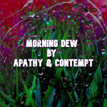 Morning Dew (New song)