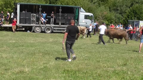 Jablan od Ramljaka vs Zeko od Jukića Olovske Luke 2025