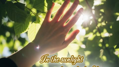 In the sunlight through the foliage