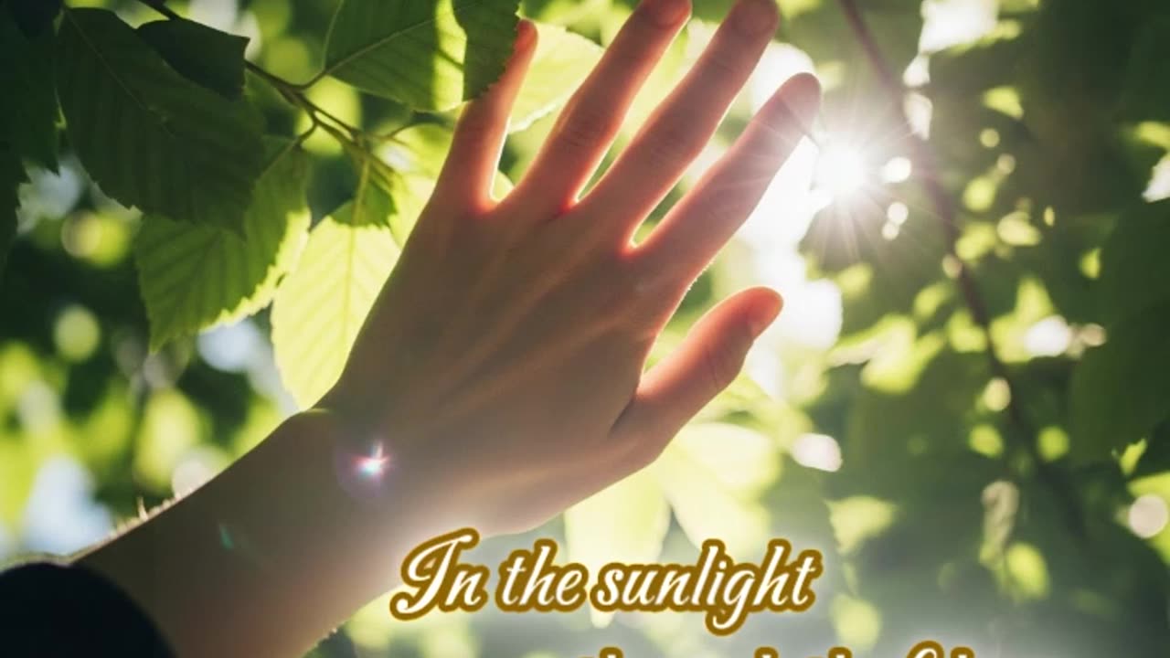 In the sunlight through the foliage