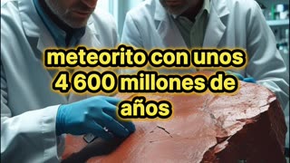 Lo que parecía una roca cualquiera termina siendo un tesoro millonario.