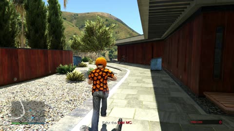 GTA 5, due diligence